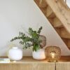 Jali Table Lamp Ligne Roset