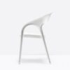 Gossip 620 Chair Pedrali
