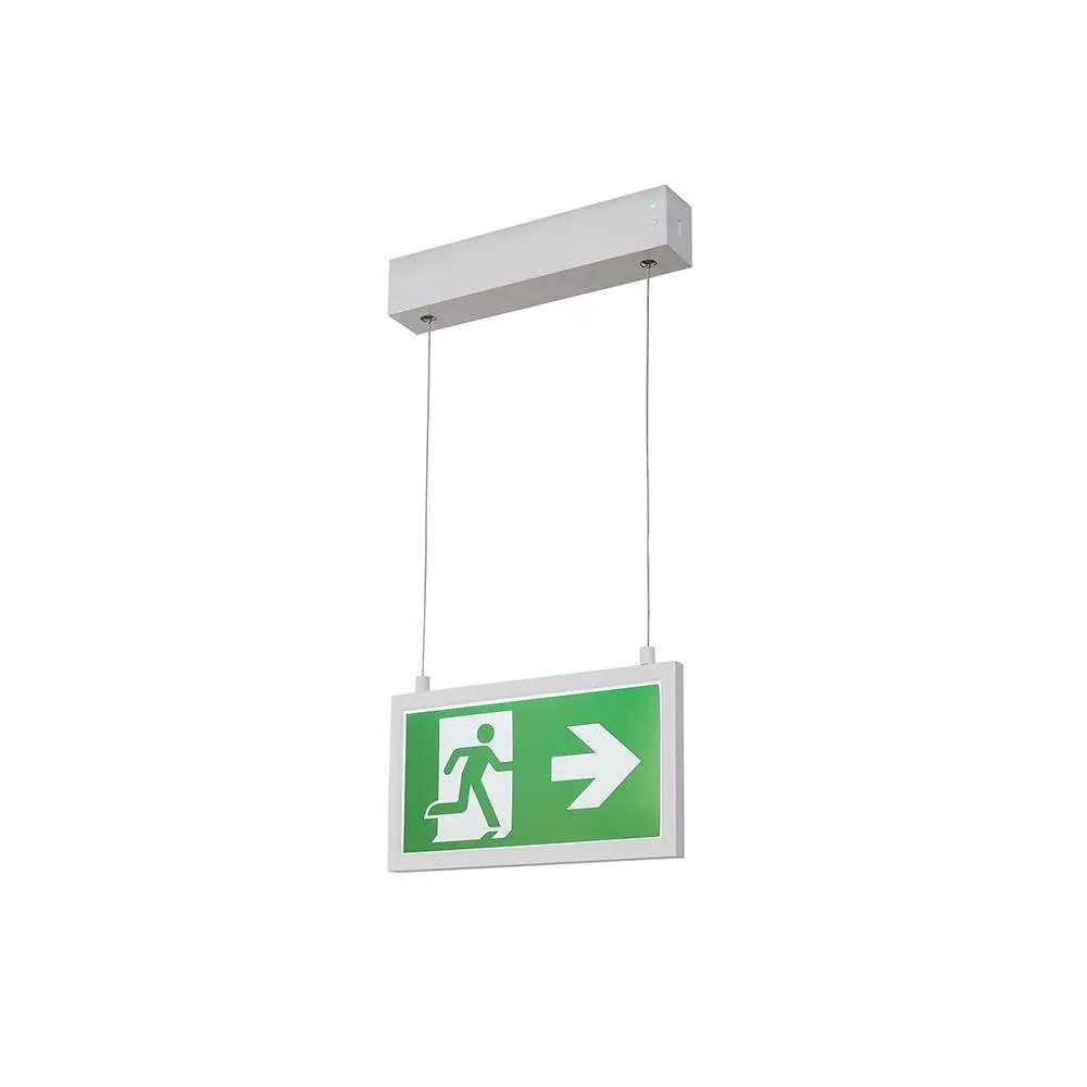 P Light Pendant Lamp Slv