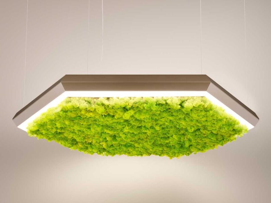 Exagon Silence Green Pendant Lamp Olev