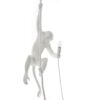 The Monkey Lamp Ceiling Outdoor Pendant Lamp Seletti