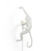 The Monkey Lamp Hanging Outdoor Wall Lamp Seletti