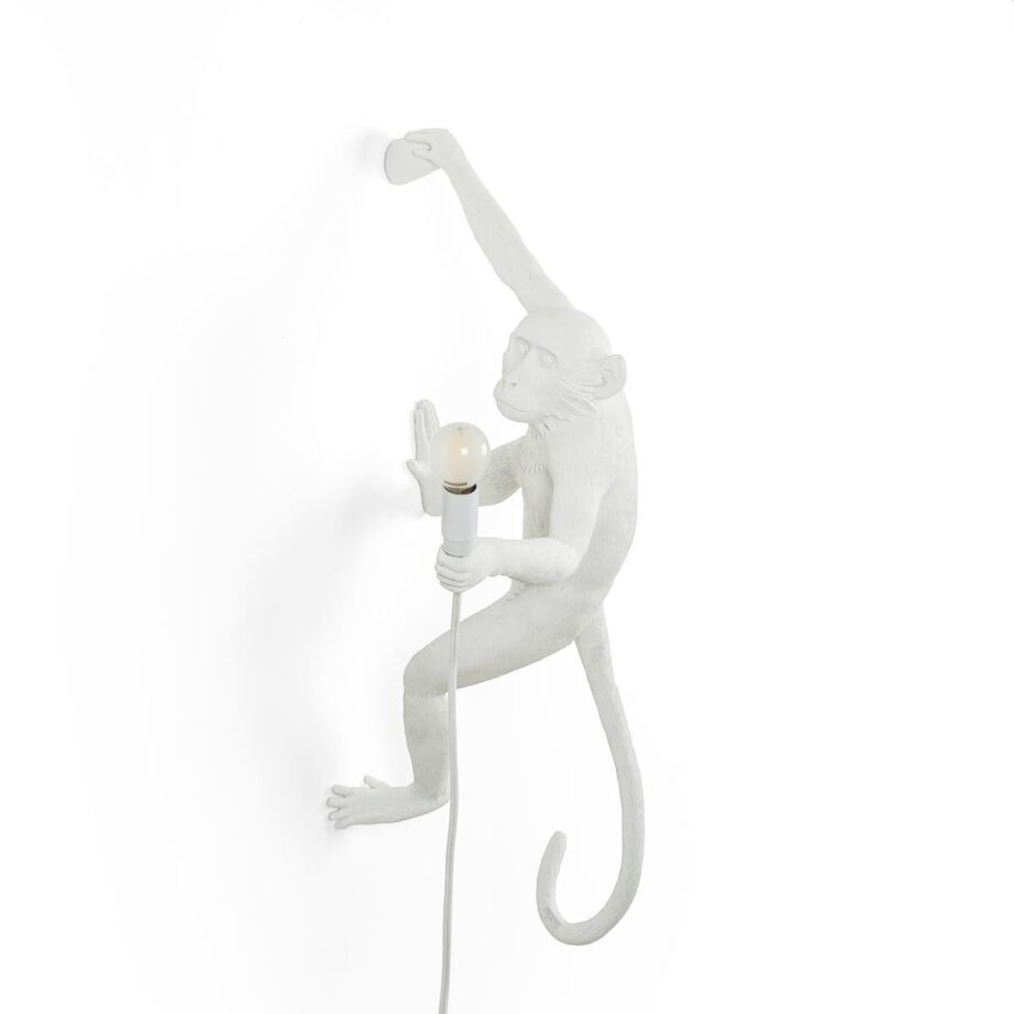 The Monkey Lamp Hanging Outdoor Wall Lamp Seletti
