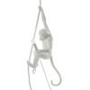 The Monkey Lamp Ceiling Outdoor Pendant Lamp Seletti