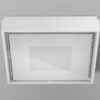 Box Outdoor Wall Lamp Panzeri