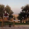 Nilo Outdoor Floor Lamp Karman