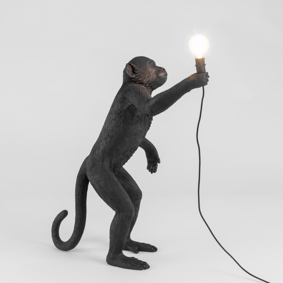 The Monkey Lamp Black Standing Outdoor Floor Lamp Seletti