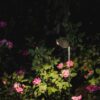 Zoe Outdoor Floor Lamp Olev