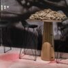 Carbon Bar Stool Bar Chair Moooi