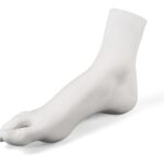 Female Foot