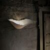 Moby Dick Wall Lamp Karman