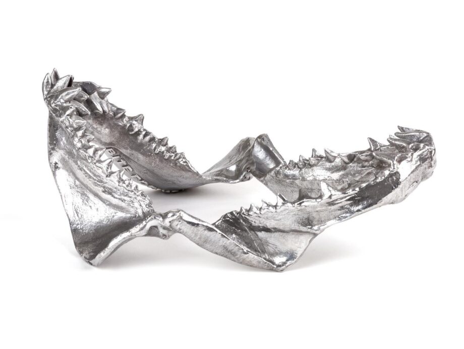 Shark Jaw Decorative Object Seletti