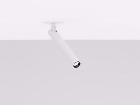 Mira R