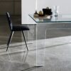 Frog Table Sovet