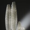 Cactus Floor Lamp Slamp