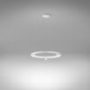Arena Pendant Lamp Panzeri