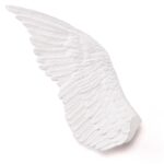 Wing