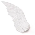 Wing