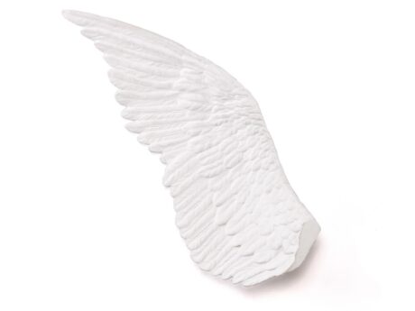 Wing