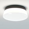 Cup Cake Lucy Ceiling Lamp Dark