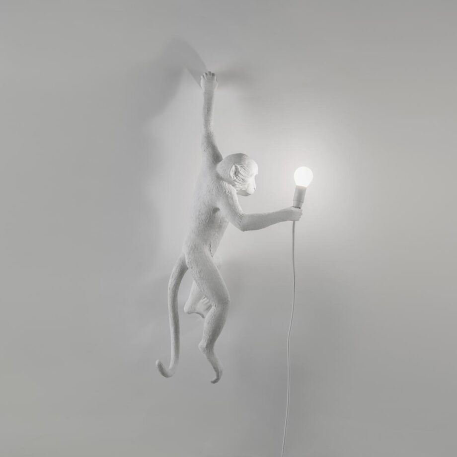 The Monkey Lamp Hanging Outdoor Wall Lamp Seletti