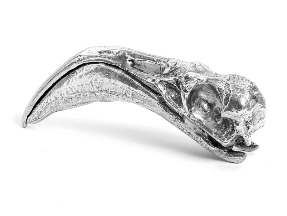 Flamingo Skull Decorative Object Seletti