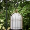Freedom Battery + Accessories Outdoor Floor Lamp Contardi