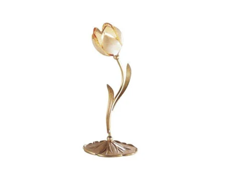 Tulipani 319/l1