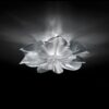 Étoile Ceiling Lamp Slamp