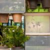 World Of Plants For Haller Bookcase Usm