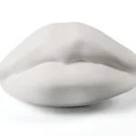 Mouth