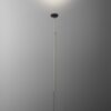 Naked Floor Lamp Olev