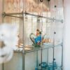 Haller Glas Shelving And Showcases Bookcase Usm