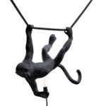 The Monkey Lamp Swing