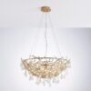 Coral Ct3301/12