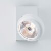 Spot Spotlight Davide Groppi