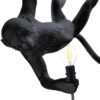 The Monkey Lamp Swing Outdoor Pendant Lamp Seletti