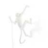 The Monkey Lamp Hanging Outdoor Wall Lamp Seletti