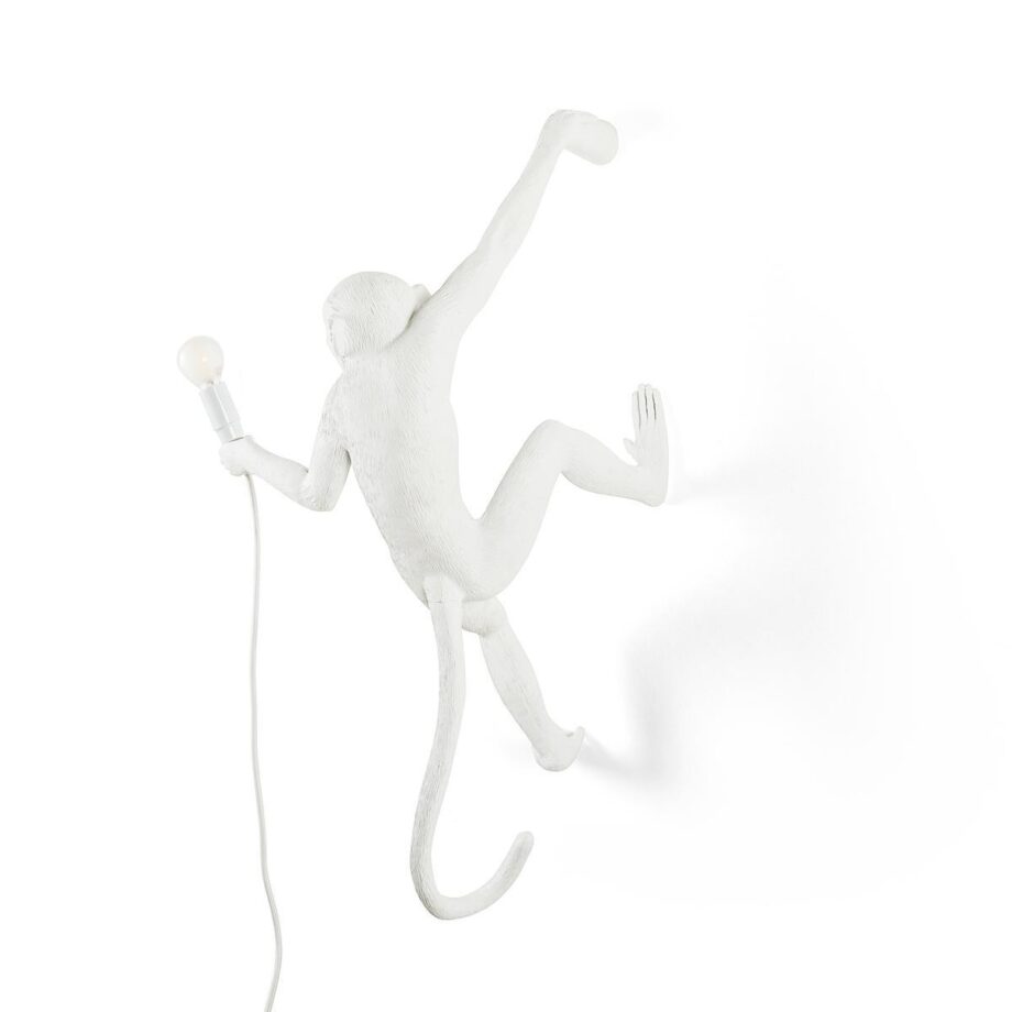 The Monkey Lamp Hanging Outdoor Wall Lamp Seletti