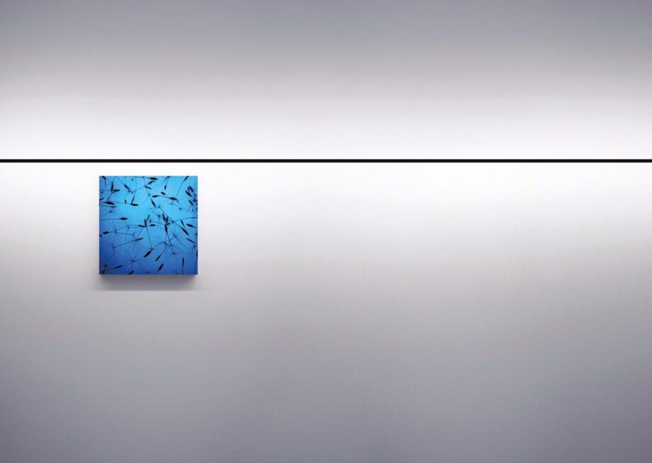 Infinito Wall Lamp Davide Groppi