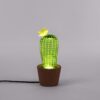 Cactus Sunrise Table Lamp Seletti