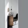 Regolo Console Sovet
