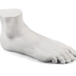 Male Foot