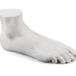 Male Foot