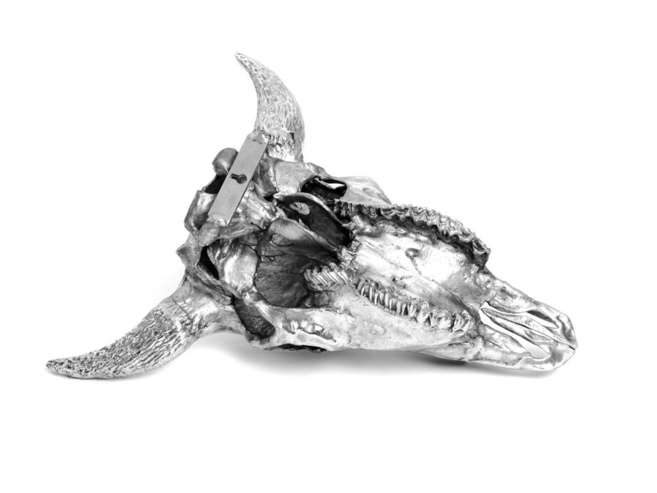 Bison Skull Decorative Object Seletti