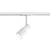 Apollo 100 Track Track Light Astro Lighting