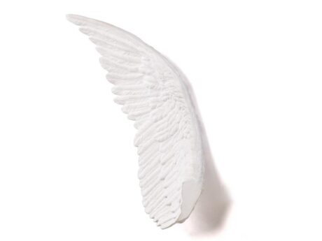Wing
