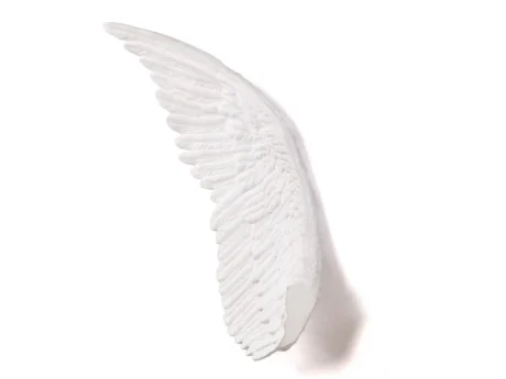 Wing