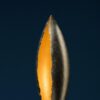 Postkrisi F 100 Floor Lamp Catellani Smith