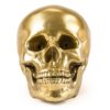 Human Skull Decorative Object Seletti